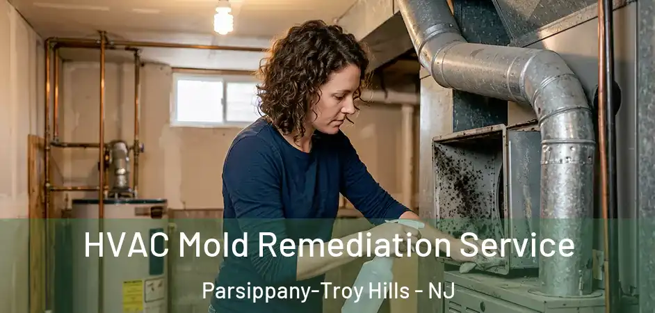 HVAC Mold Remediation Service Parsippany-Troy Hills - NJ